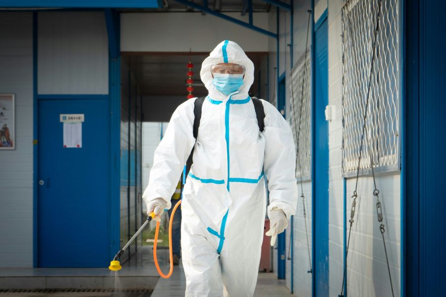 Dezynsekcja – Jak Skutecznie Zwalczać Owady w Domu i Ogrodzie
