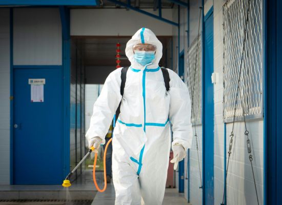 Dezynsekcja – Jak Skutecznie Zwalczać Owady w Domu i Ogrodzie
