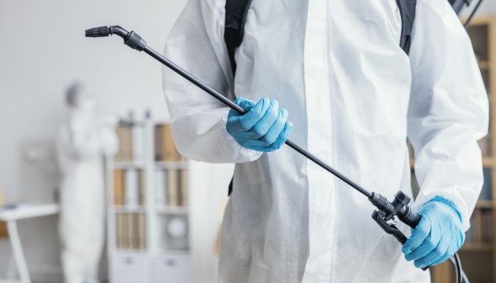 Dlaczego deratyzacja jest ważna?