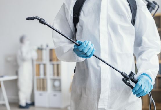 Dlaczego deratyzacja jest ważna?