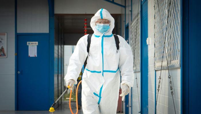 Jak skutecznie pozbyć się pluskiew? Nowoczesne metody odpluskwiania